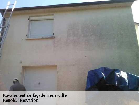 Ravalement de façade  benesville-76560 Renold rénovation