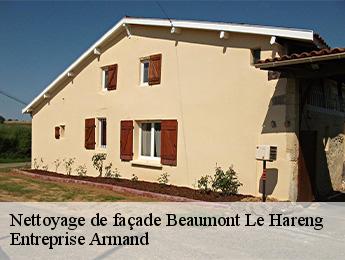 Nettoyage de façade  beaumont-le-hareng-76850 Entreprise Armand 
