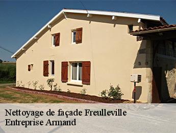 Nettoyage de façade  freulleville-76510 Entreprise Armand 