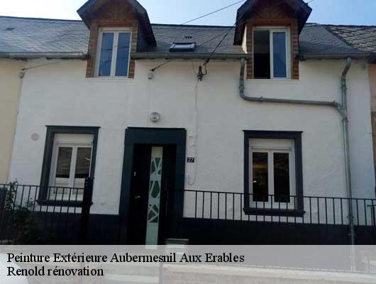 Peinture Extérieure  aubermesnil-aux-erables-76340 Renold rénovation