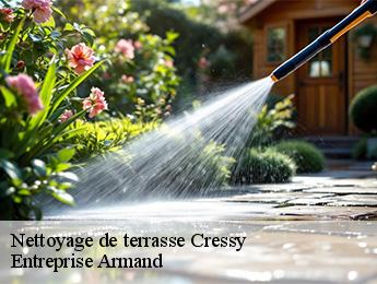 Nettoyage de terrasse  cressy-76720 Entreprise Armand 