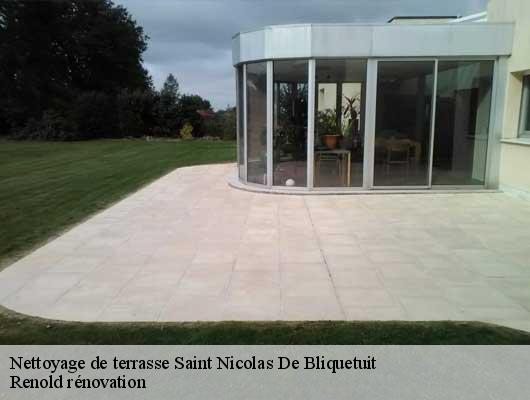 Nettoyage de terrasse  saint-nicolas-de-bliquetuit-76940 Renold rénovation