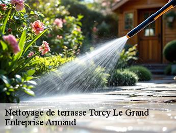 Nettoyage de terrasse torcy-le-grand-76590 Entreprise Armand