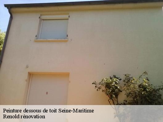 Peinture dessous de toit 76 Seine-Maritime  Renold rénovation