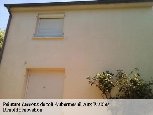 Peinture dessous de toit  aubermesnil-aux-erables-76340 Renold rénovation