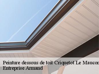 Peinture dessous de toit  criquetot-le-mauconduit-76540 Entreprise Armand 