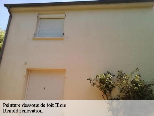 Peinture dessous de toit illois-76390 Renold rénovation