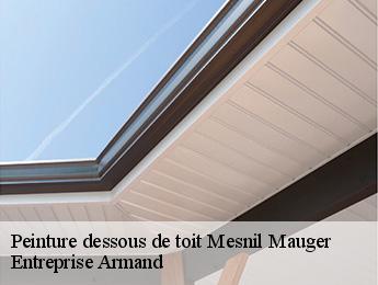 Peinture dessous de toit  mesnil-mauger-76440 Entreprise Armand 