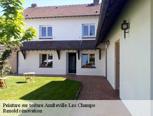 Peinture sur toiture  amfreville-les-champs-76560 Renold rénovation