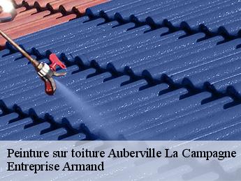 Peinture sur toiture  auberville-la-campagne-76170 Entreprise Armand 