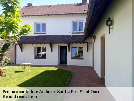 Peinture sur toiture  authieux-sur-le-port-saint-ouen-76520 Renold rénovation