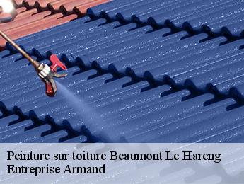 Peinture sur toiture  beaumont-le-hareng-76850 Entreprise Armand 