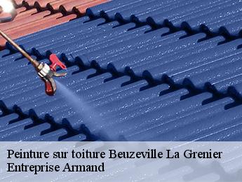 Peinture sur toiture  beuzeville-la-grenier-76210 Entreprise Armand 