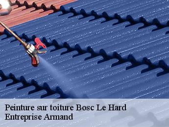 Peinture sur toiture  bosc-le-hard-76850 Entreprise Armand 