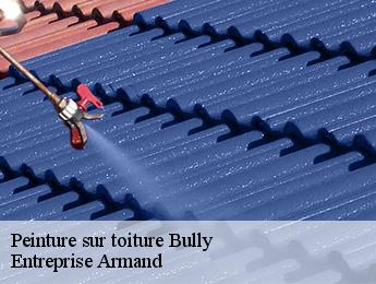 Peinture sur toiture  bully-76270 Entreprise Armand 
