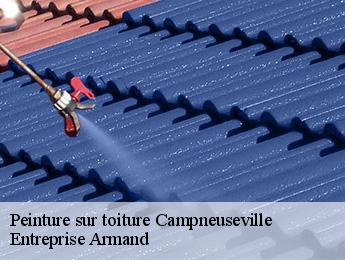 Peinture sur toiture  campneuseville-76340 Entreprise Armand 