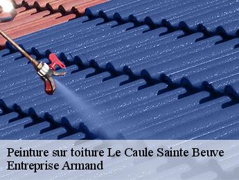 Peinture sur toiture  le-caule-sainte-beuve-76390 Entreprise Armand 