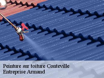 Peinture sur toiture  conteville-76390 Entreprise Armand 