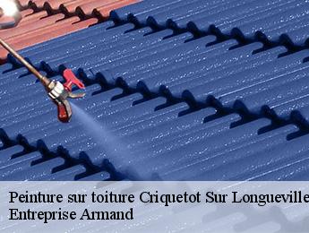 Peinture sur toiture  criquetot-sur-longueville-76590 Entreprise Armand 