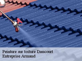 Peinture sur toiture  dancourt-76340 Entreprise Armand 