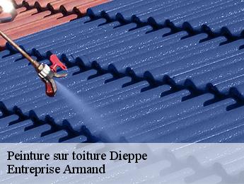 Peinture sur toiture  dieppe-76200 Entreprise Armand 