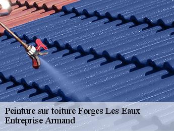 Peinture sur toiture  forges-les-eaux-76440 Entreprise Armand 