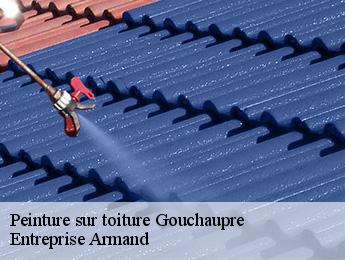 Peinture sur toiture  gouchaupre-76630 Entreprise Armand 