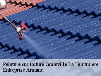 Peinture sur toiture  grainville-la-teinturiere-76450 Entreprise Armand 