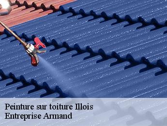 Peinture sur toiture  illois-76390 Entreprise Armand 