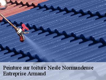 Peinture sur toiture  nesle-normandeuse-76340 Entreprise Armand 