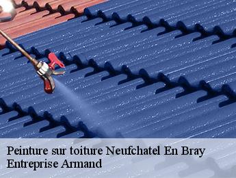 Peinture sur toiture  neufchatel-en-bray-76270 Entreprise Armand 