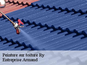 Peinture sur toiture  ry-76116 Entreprise Armand 