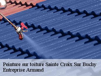 Peinture sur toiture  sainte-croix-sur-buchy-76750 Entreprise Armand 