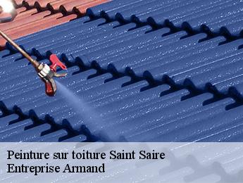 Peinture sur toiture  saint-saire-76270 Entreprise Armand 