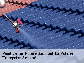 Peinture sur toiture  saumont-la-poterie-76440 Entreprise Armand 