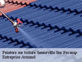 Peinture sur toiture  senneville-sur-fecamp-76400 Entreprise Armand 