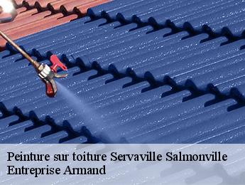 Peinture sur toiture  servaville-salmonville-76116 Entreprise Armand 