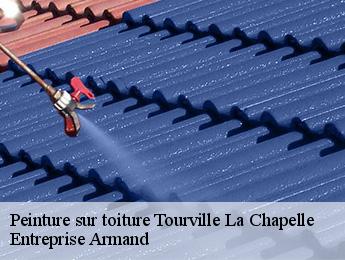 Peinture sur toiture  tourville-la-chapelle-76630 Entreprise Armand 