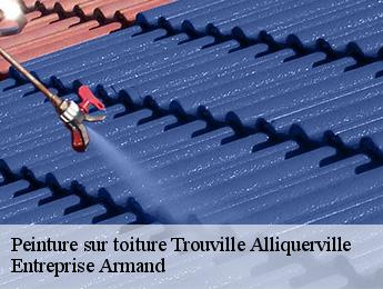 Peinture sur toiture  trouville-alliquerville-76210 Entreprise Armand 