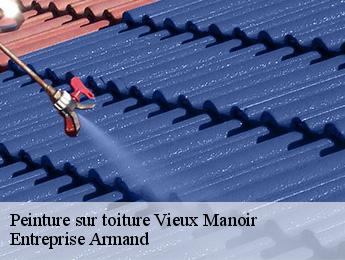 Peinture sur toiture  vieux-manoir-76750 Entreprise Armand 