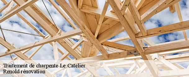 Traitement de charpente  le-catelier-76590 Renold rénovation