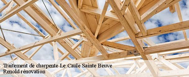 Traitement de charpente  le-caule-sainte-beuve-76390 Renold rénovation