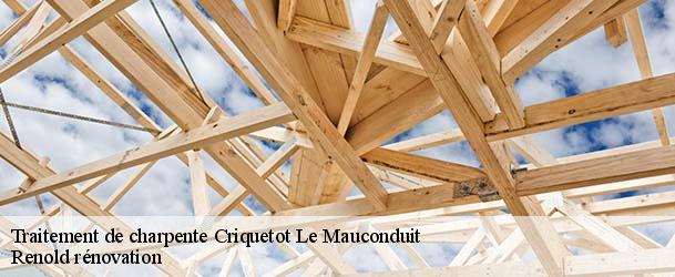 Traitement de charpente  criquetot-le-mauconduit-76540 Renold rénovation