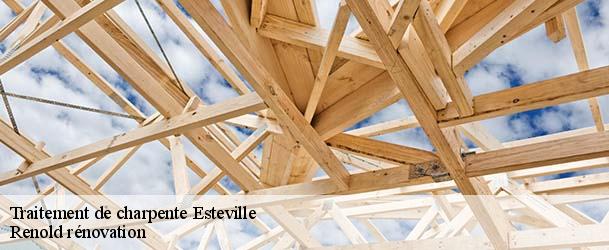 Traitement de charpente esteville-76690 Renold rénovation