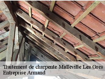 Traitement de charpente  malleville-les-gres-76450 Entreprise Armand 