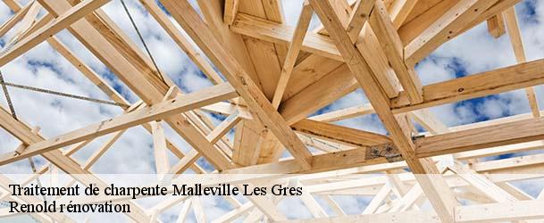 Traitement de charpente  malleville-les-gres-76450 Renold rénovation