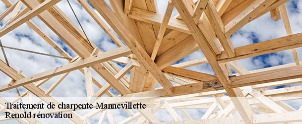 Traitement de charpente  mannevillette-76290 Renold rénovation