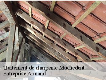 Traitement de charpente  muchedent-76590 Entreprise Armand 