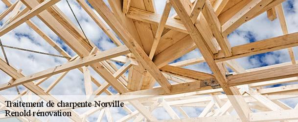 Traitement de charpente  norville-76330 Renold rénovation