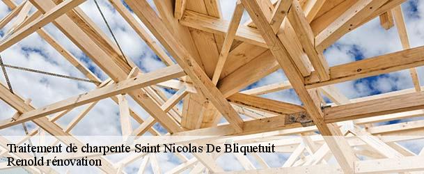 Traitement de charpente  saint-nicolas-de-bliquetuit-76940 Renold rénovation